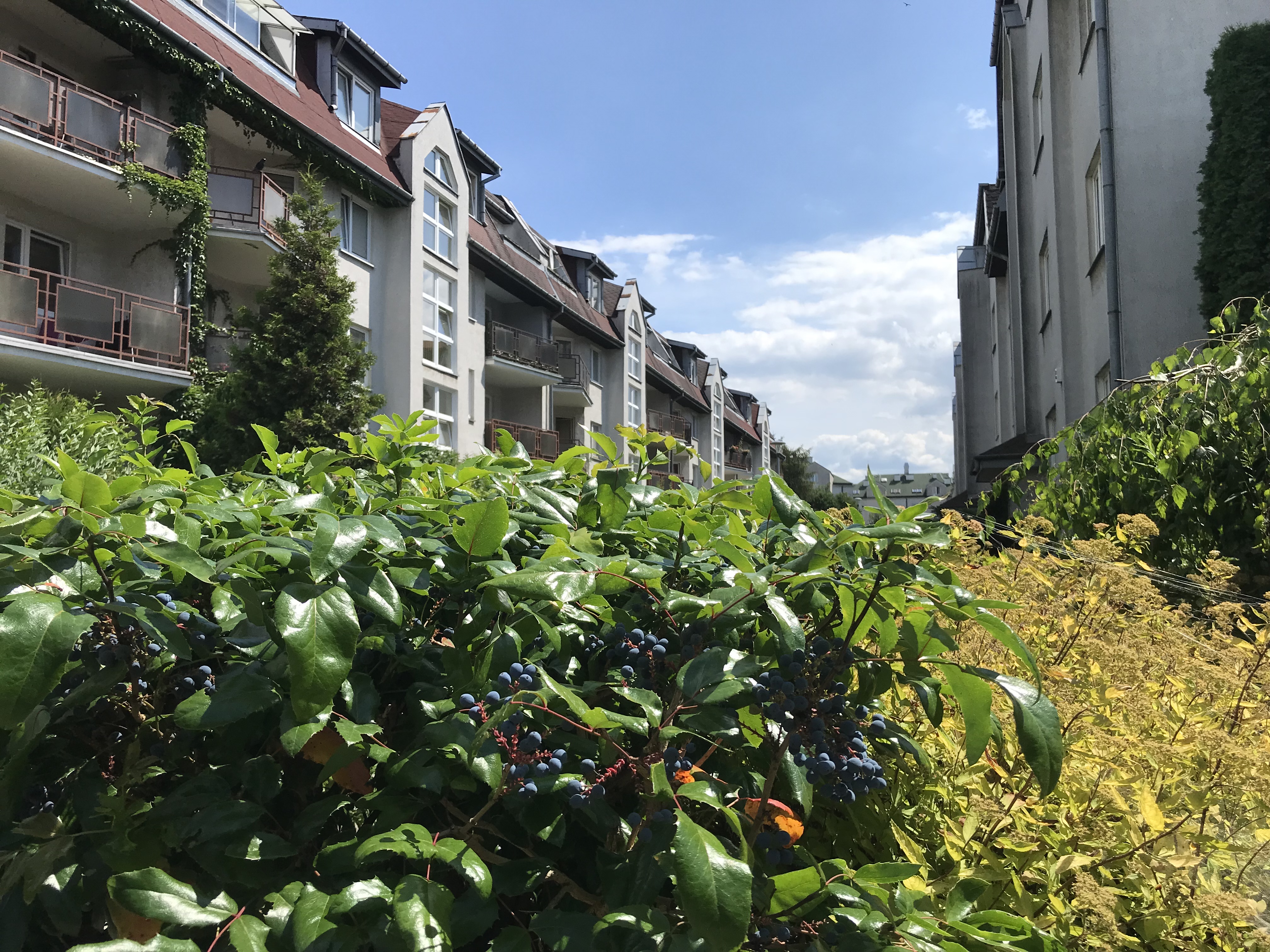 Osiedle Szczęśliwice