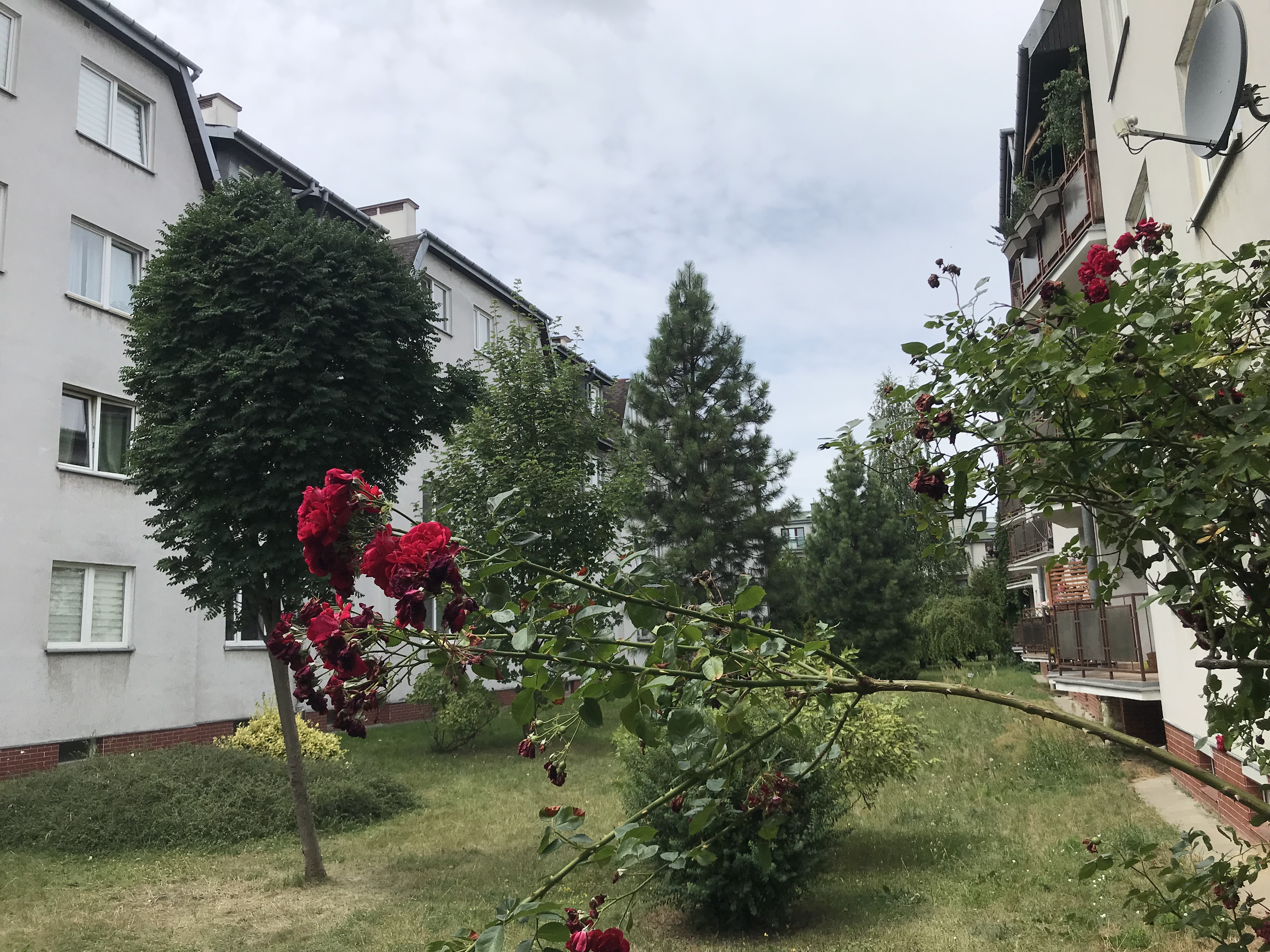 Osiedle Szczęśliwice